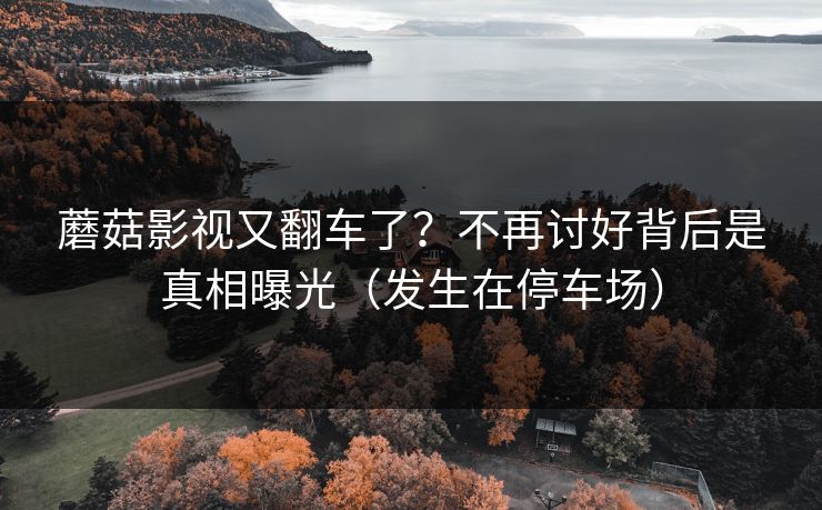 蘑菇影视又翻车了?不再讨好背后是真相曝光(发生在停车场) 蘑菇影视又翻车了?不再讨好背后是真相曝光(发生在停车场)